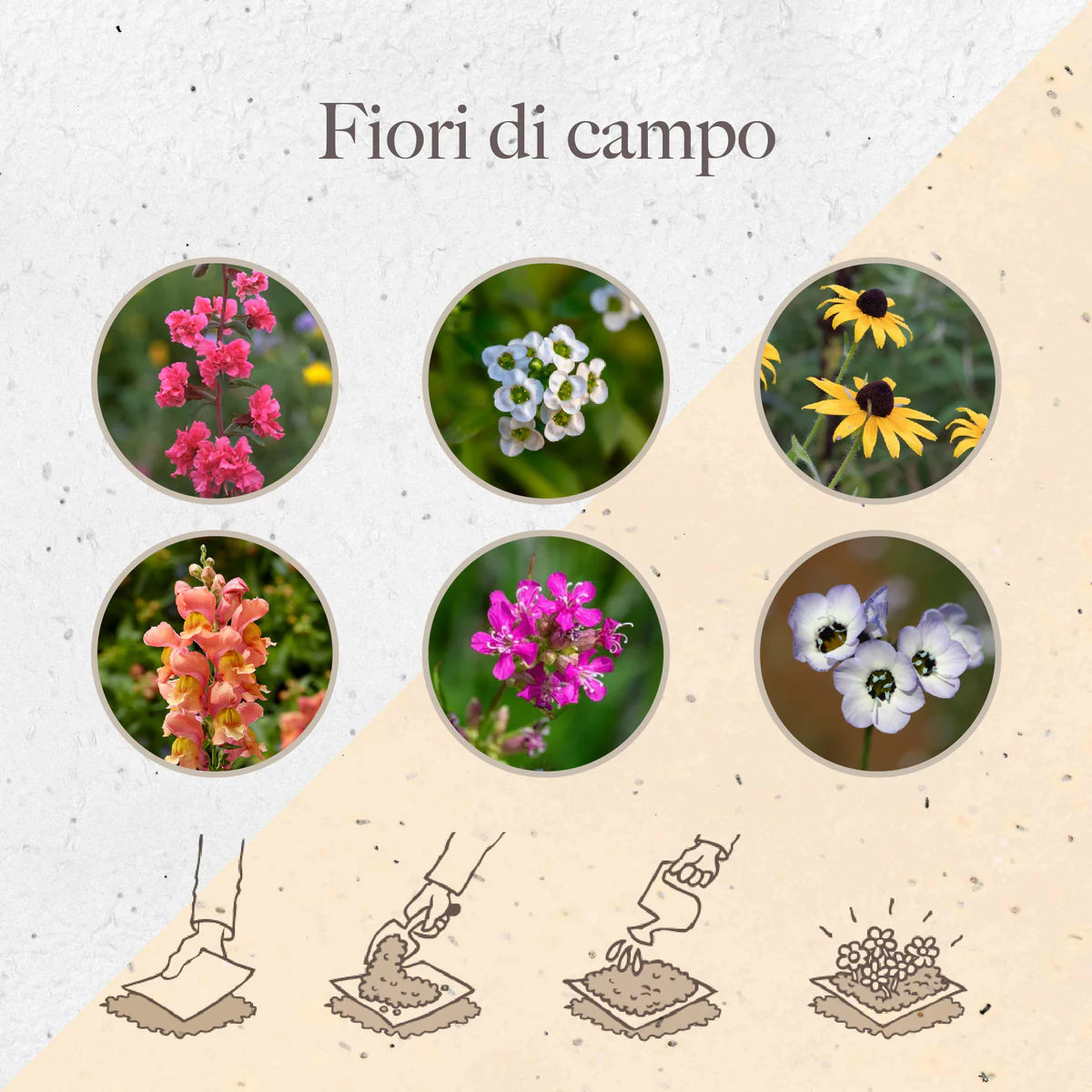 Fogli di Carta Piantabile con semi di mix di fiori