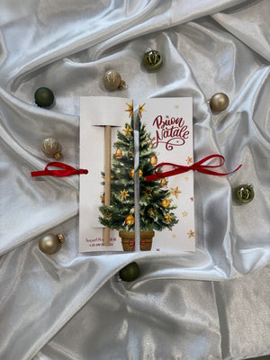 Pacchettino Regalo con Matita Piantabile