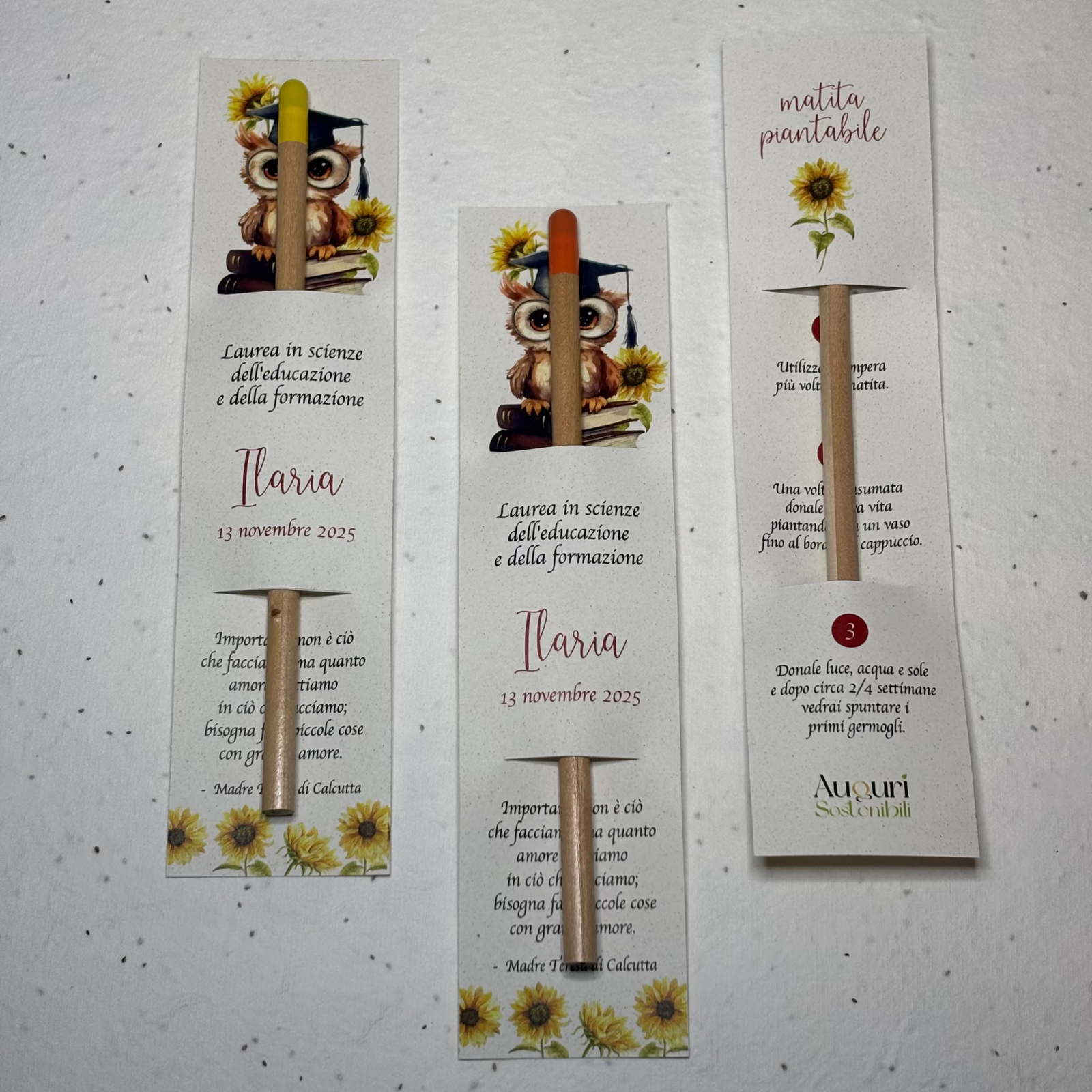 Matite Piantabili colorate