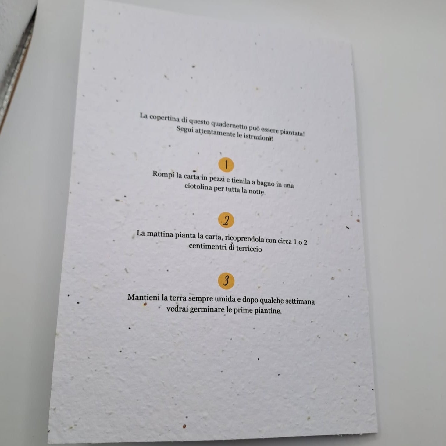 Libretto Messa copertina in carta piantabile