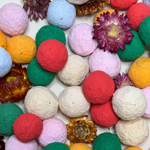 Bombe di semi colorate