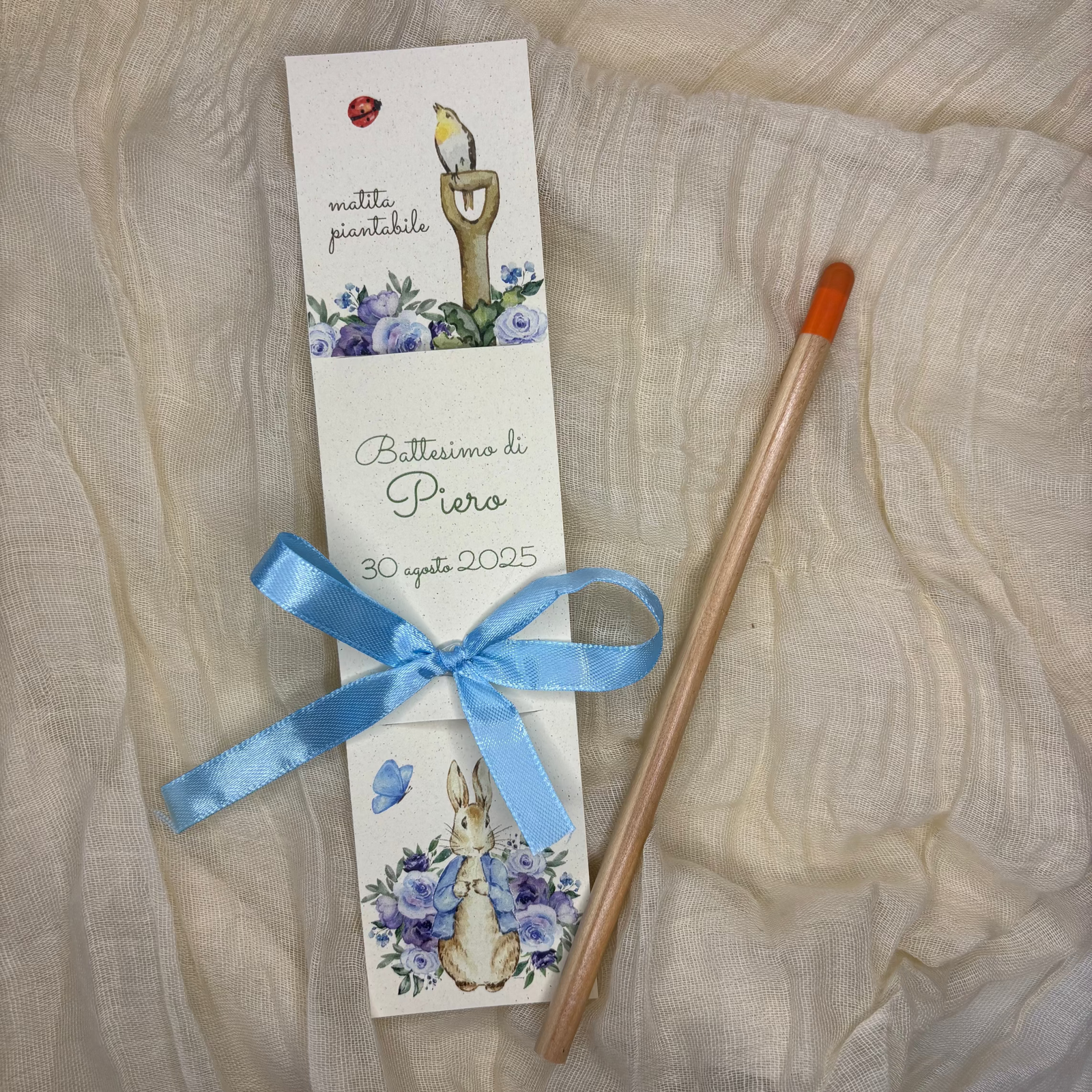 Matite Piantabili colorate