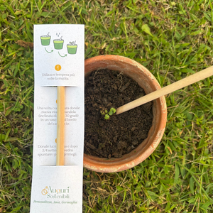 Matite Piantabili colorate